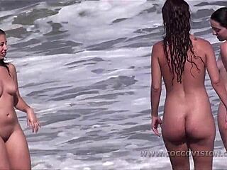 बड़े स्तनों वाली महिलाएं समुद्र तट पर बारी-बारी से धूप में स्नान करती हैं